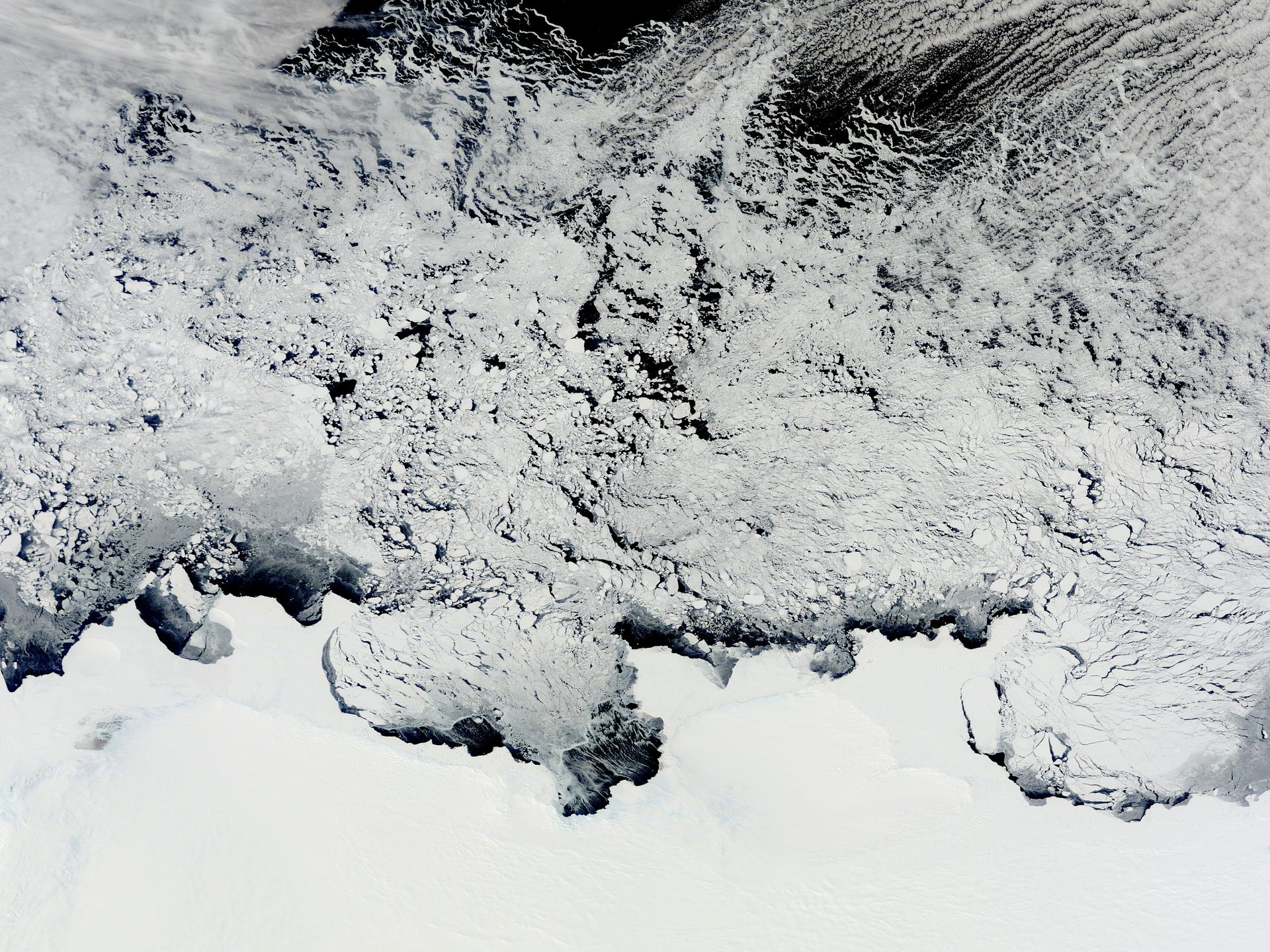 MODIS (Terra satellite) provides daily high-resolution data on ice, ocean, and cloud dynamics. AJX utilizes this type of data source for environmental analysis. Source: NASA Goddardde: NASA Goddard